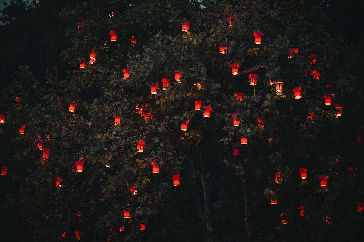 tree red lanterns on tree turkey